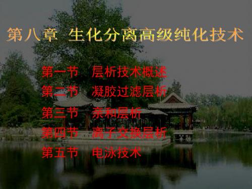 第08章生化分离高级纯化技术