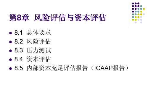 第8章_风险评估与资本评估