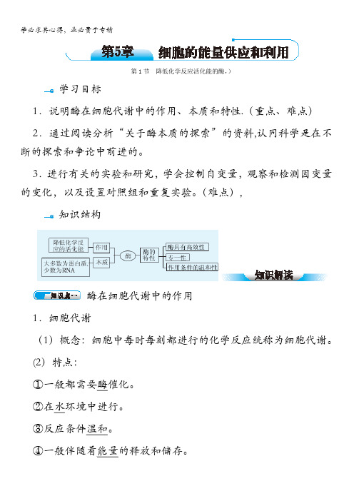 高一生物1学案+同步练习+典例精析：第5章 第1节降低化学反应活化能的酶典例精析 含答案