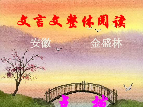 文言文整体阅读.ppt