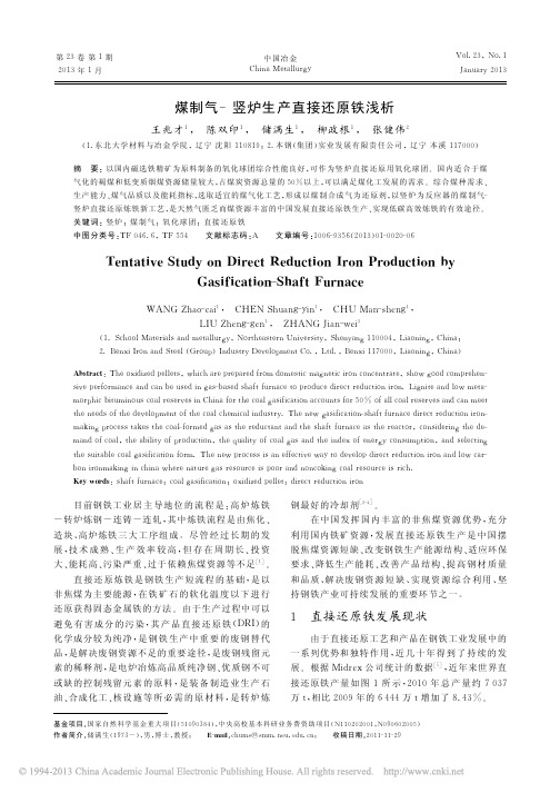 煤制气_竖炉生产直接还原铁浅析_王兆才