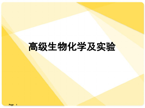 第一章、氨基酸的结构及性质PPT