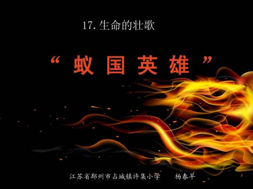生命的壮歌之蚁国英雄+苏教四下第17课精品获奖课件PPT+徐州市学讲计划+杨春早