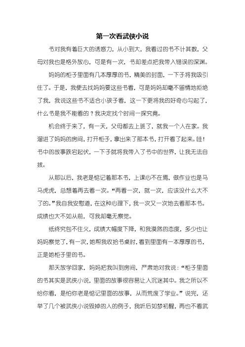 六年级作文：第一次看武侠小说作文600字