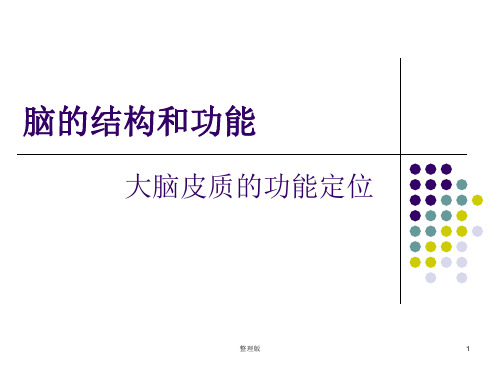 大脑皮质的功能定位