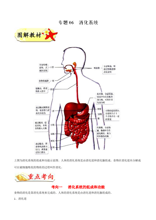 专题06 消化系统-备战2018年中考河南生物识图题之专项提分(解析版)