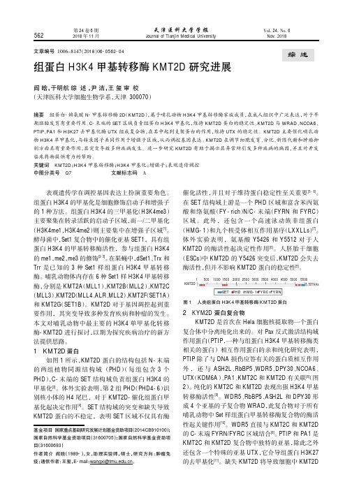 组蛋白H3K4甲基转移酶KMT2D研究进展