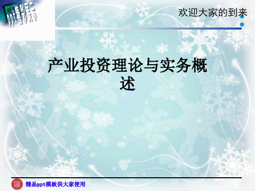 产业投资理论与实务概述