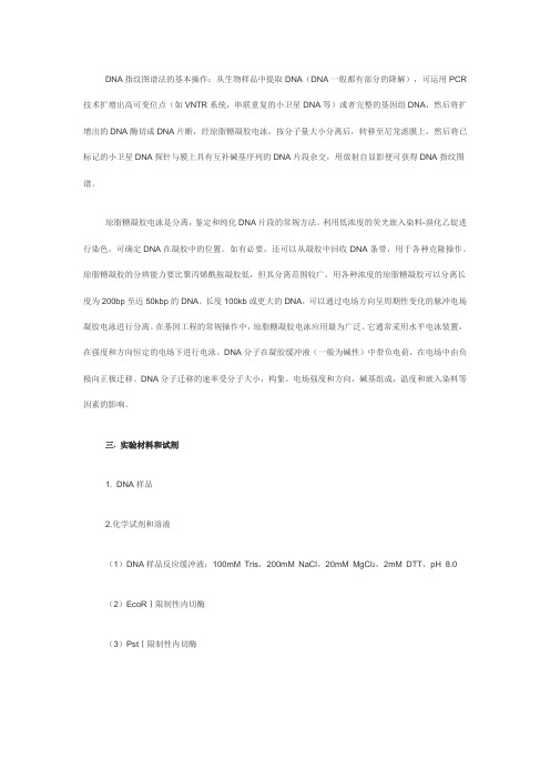 DNA指纹图谱分析