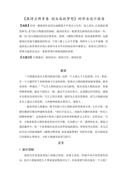 新闻专业  毕业设计