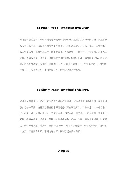 潮州凤凰单枞茶的制作流程