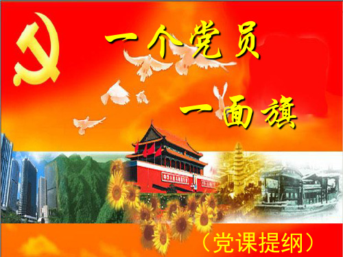 一个党员一面旗帜