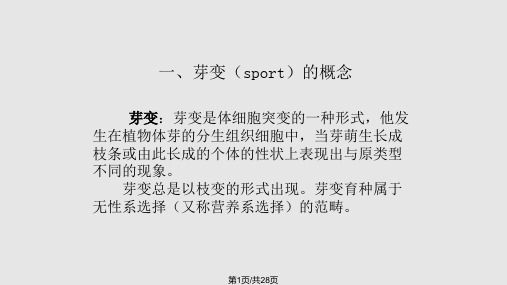芽变育种PPT课件