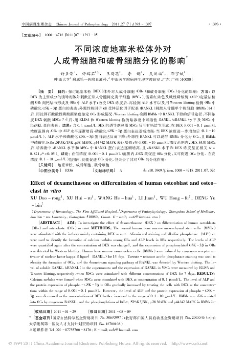 不同浓度地塞米松体外对人成骨细胞和破骨细胞分化的影响