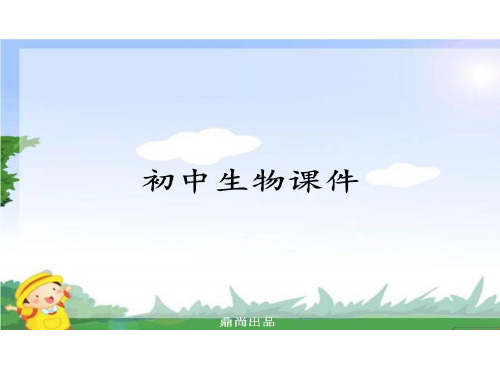 北师大版生物八上动物运动的形成(二)
