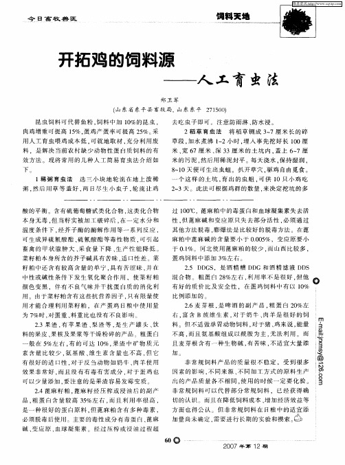 开拓鸡的饲料源——人工育虫法