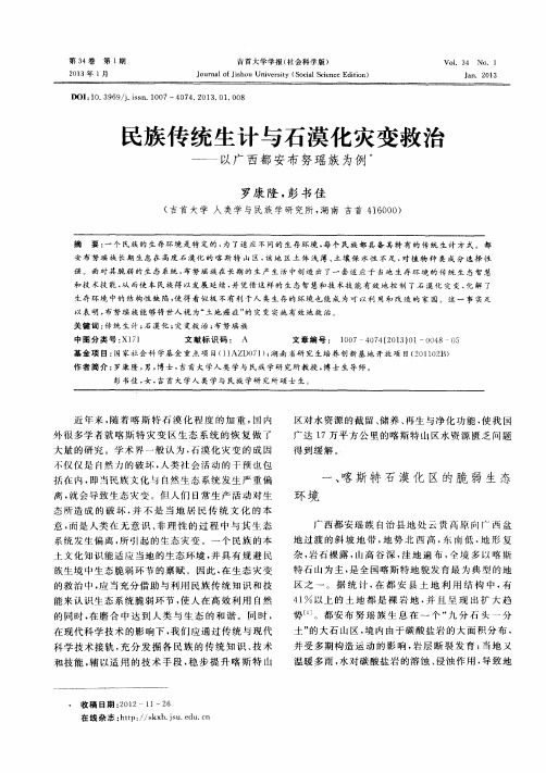民族传统生计与石漠化灾变救治——以广西都安布努瑶族为例