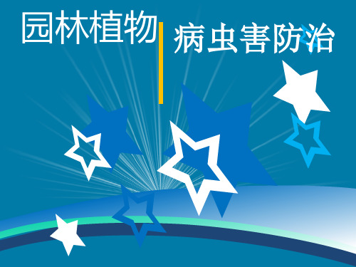 鞘翅目昆虫
