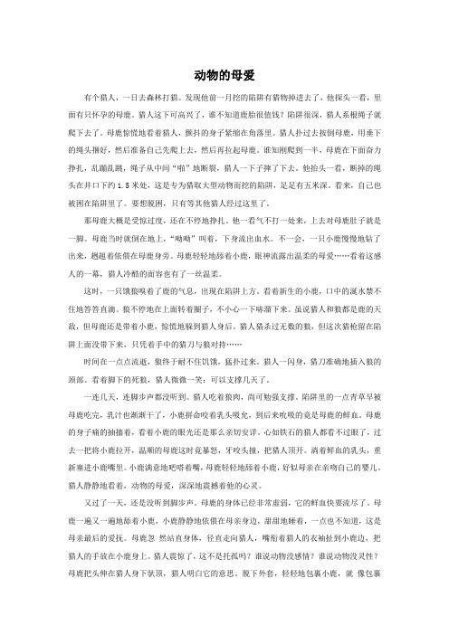 《雕像》拓展阅读-《动物的母爱》