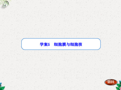 高考生物(人教版)一轮复习“学案”课件：第5讲 细胞膜与细胞核(共30张PPT)