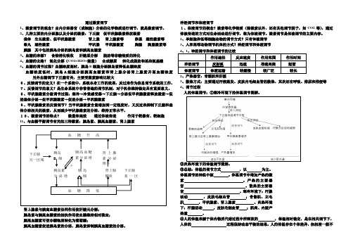 通过激素调节.doc222333