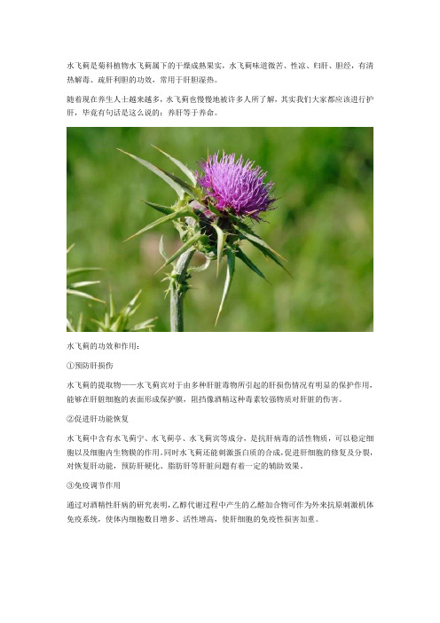 水飞蓟功效与作用有什么,适合什么人吃？