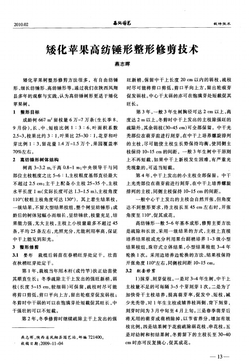 矮化苹果高纺锤形整形修剪技术