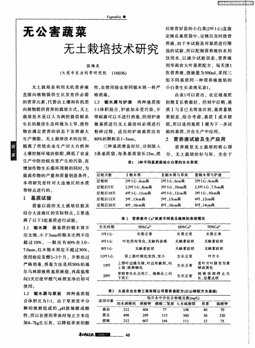 无公害蔬菜无土栽培技术研究