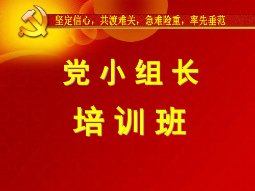 党小组长培训
