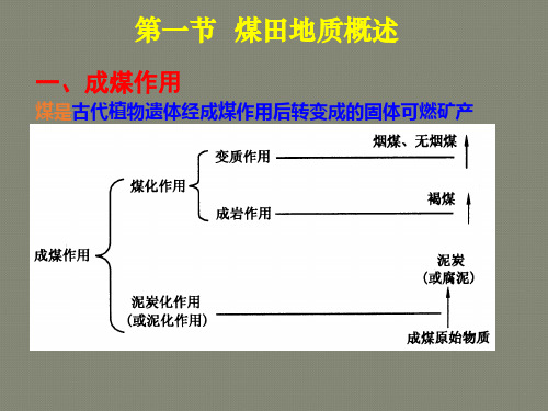 第一章煤田地质及矿图知识
