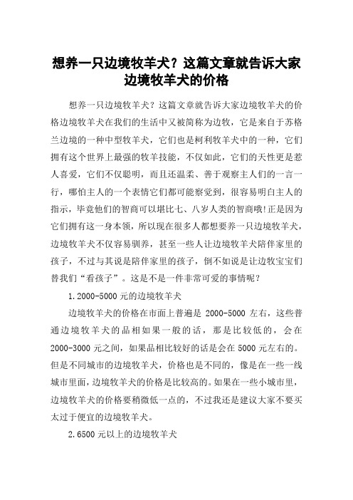 想养一只边境牧羊犬？这篇文章就告诉大家边境牧羊犬的价格