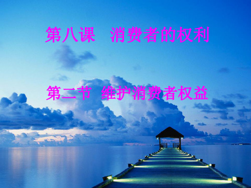 维护消费者权益ppt