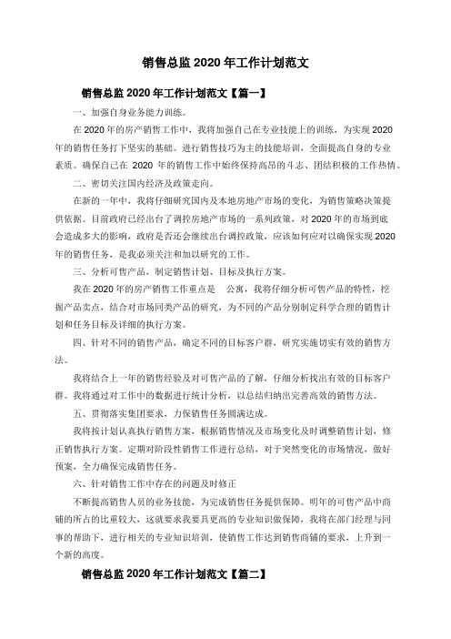 销售总监2020年工作计划范文