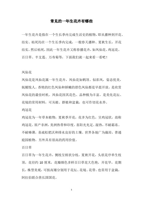 常见的一年生花卉有哪些