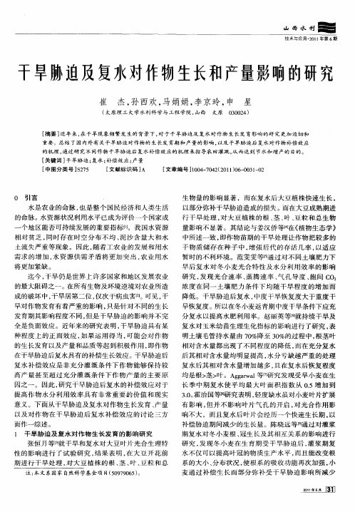 干旱胁迫及复水对作物生长和产量影响的研究