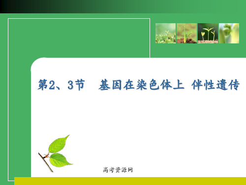 2012高考生物一轮复习优化方案必修2二章23节 ppt课件