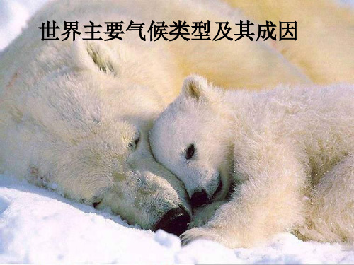 粤教版地理七年级上《世界的主要气候类型》ppt课件
