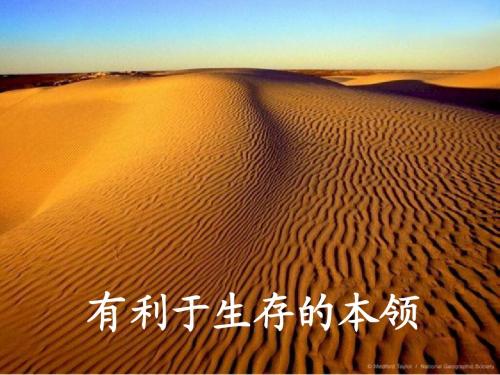 12有利于生存的本领