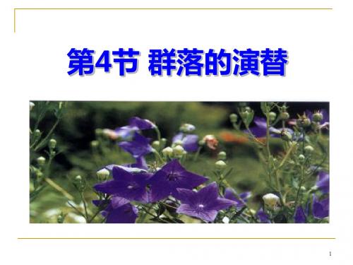 人教版高中生物必修(三)4.4群落的演替 课件       (共46张PPT)