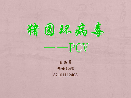 分子病毒学-PCV