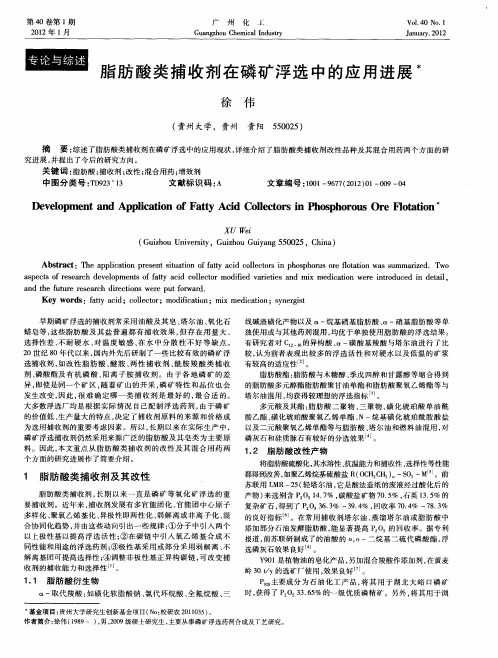脂肪酸类捕收剂在磷矿浮选中的应用进展