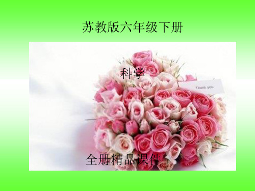 苏教版科学六年级下册全册课件 (修改版)
