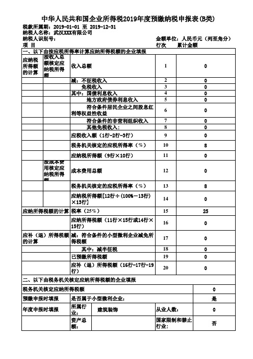 企业所得税年度纳税申报表(B类)