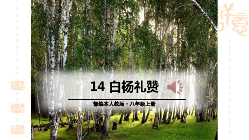 初中语文八年级上册 《白杨礼赞》 