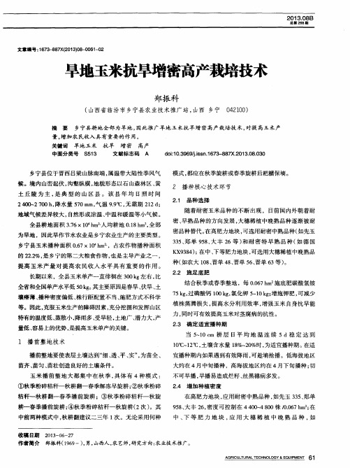 旱地玉米抗旱增密高产栽培技术