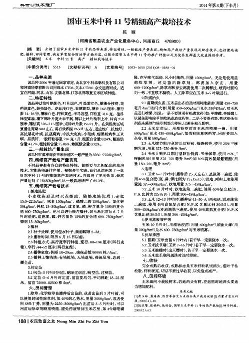 国审玉米中科11号精细高产栽培技术