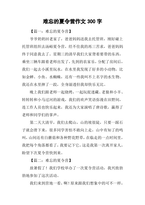 难忘的夏令营作文300字