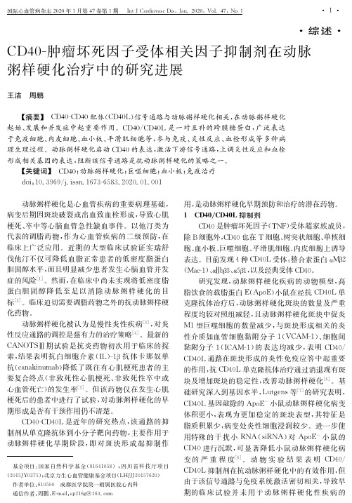cd40-肿瘤坏死因子受体相关因子抑制剂在动脉粥样硬化治疗中的研究进展