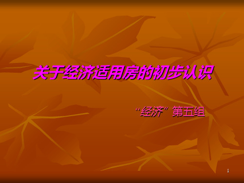 关于经济适用房的初步认识 PPT课件