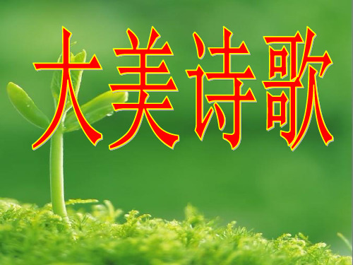 诗歌的音乐美资料精选课件PPT